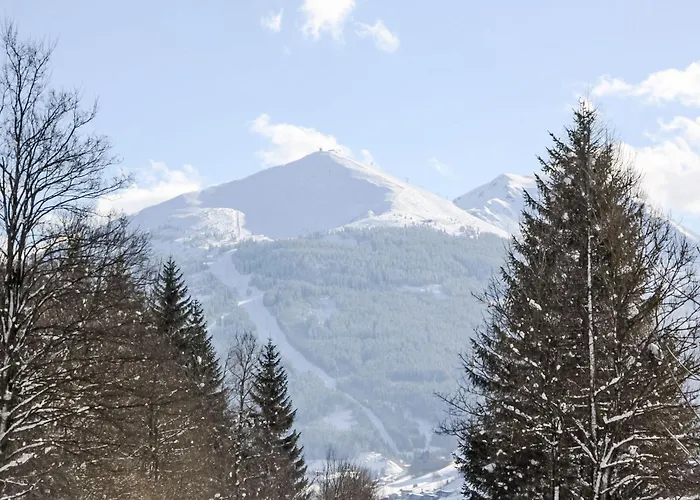 Schmuckstueck By Interhome Apartment Bad Hofgastein